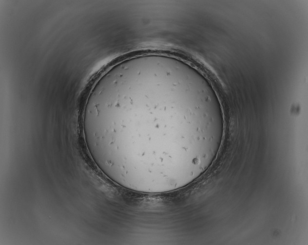 X0000090441315200708031144