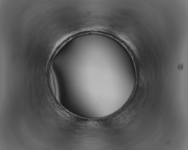 X0000090441316200708031144