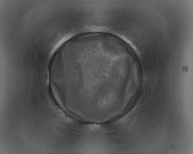 X0000090441317200708031144