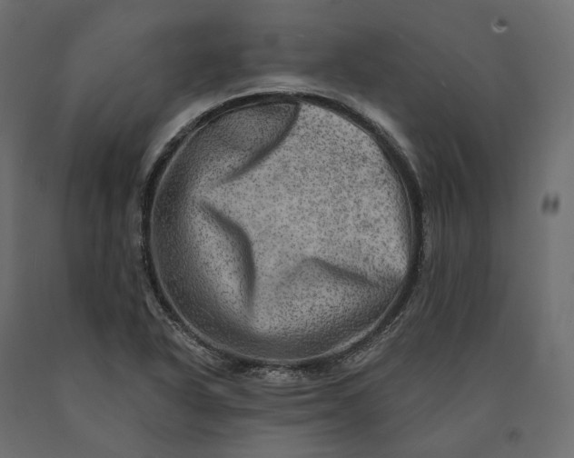 X0000090441318200708031144