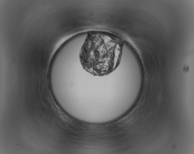 X0000090441320200708031144