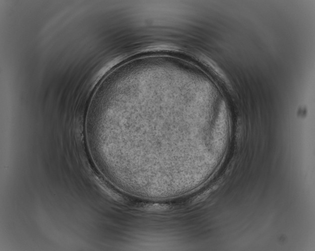 X0000090441321200708031144