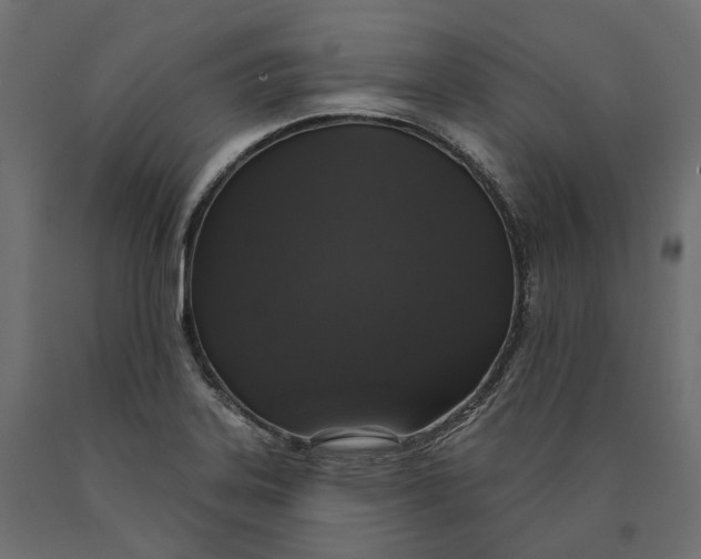 X0000090441323200708031144