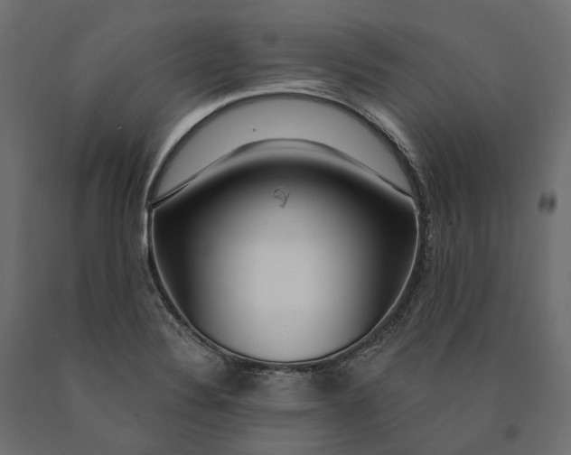 X0000090441324200708031144