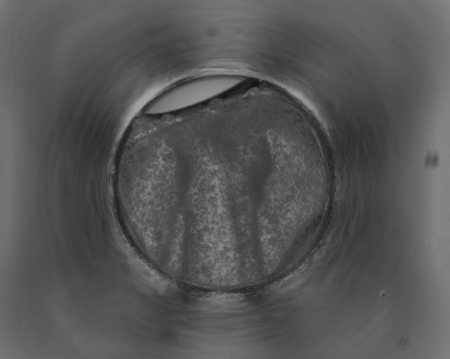 X0000090441325200708031144