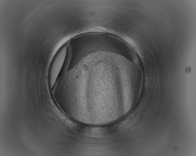 X0000090441326200708031144