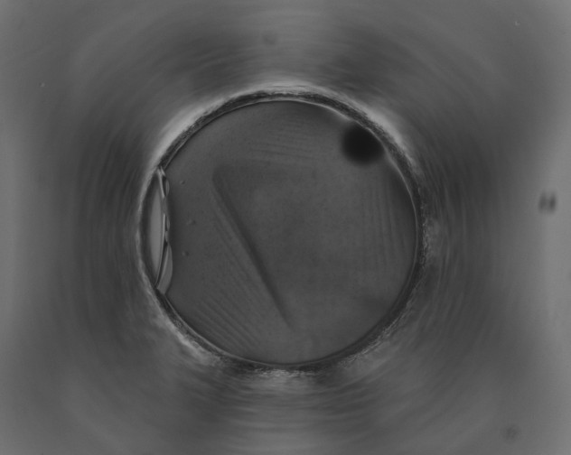 X0000090441327200708031144