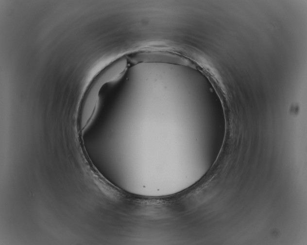 X0000090441328200708031144