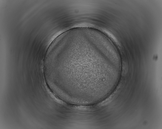 X0000090441329200708031144