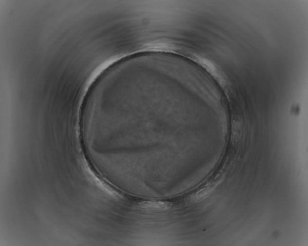 X0000090441331200708031144