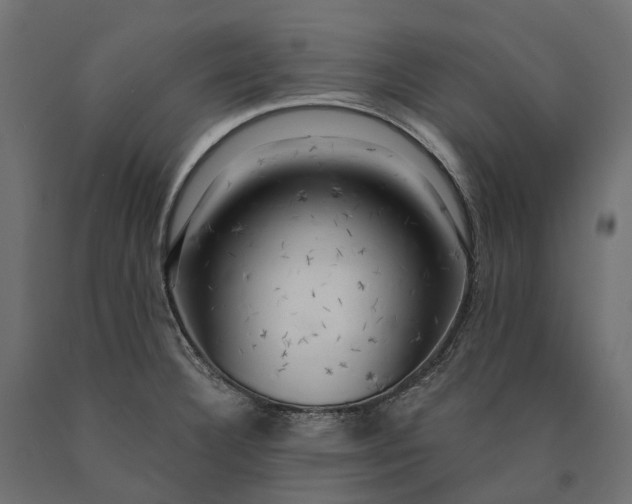 X0000090441332200708031144