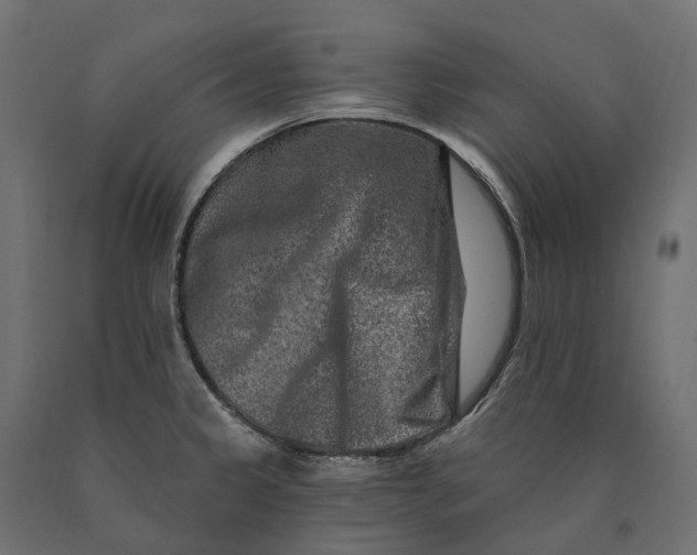 X0000090441333200708031144