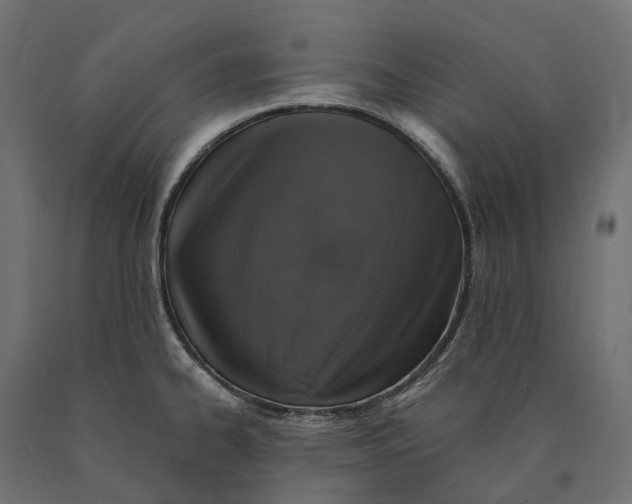 X0000090441334200708031144