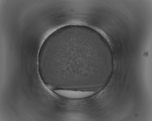 X0000090441335200708031144