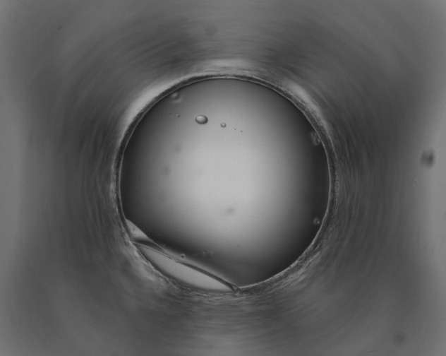 X0000090441336200708031144