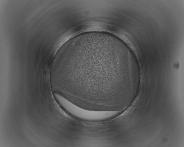 X0000090441337200708031144