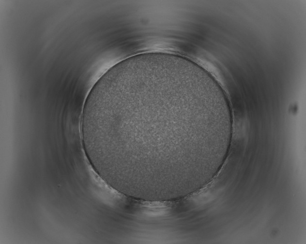 X0000090441338200708031144