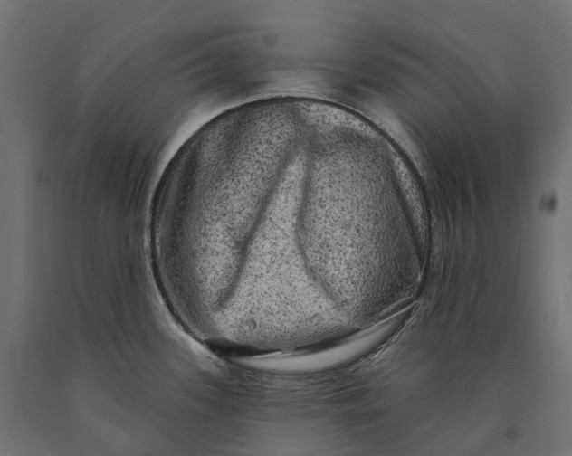 X0000090441339200708031144