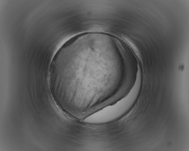 X0000090441340200708031144