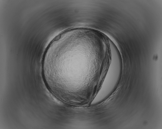 X0000090441341200708031144