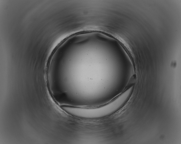 X0000090441342200708031144