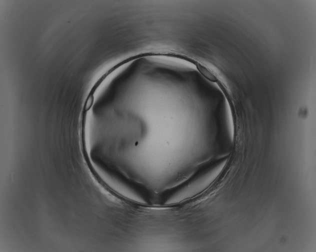 X0000090441343200708031144