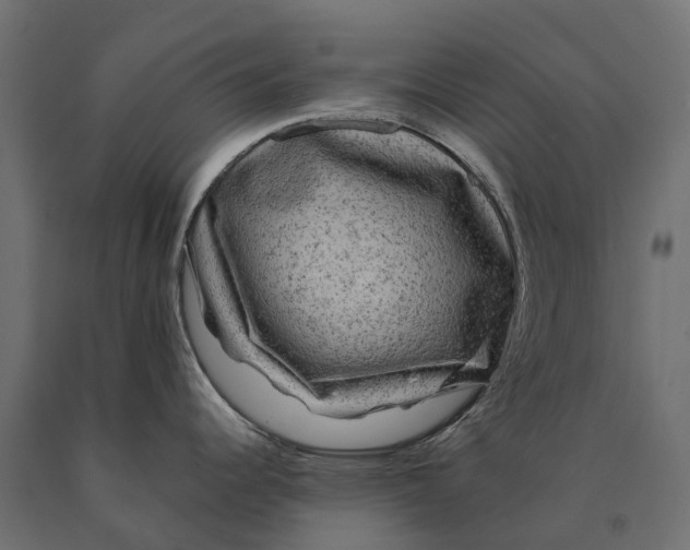 X0000090441344200708031144