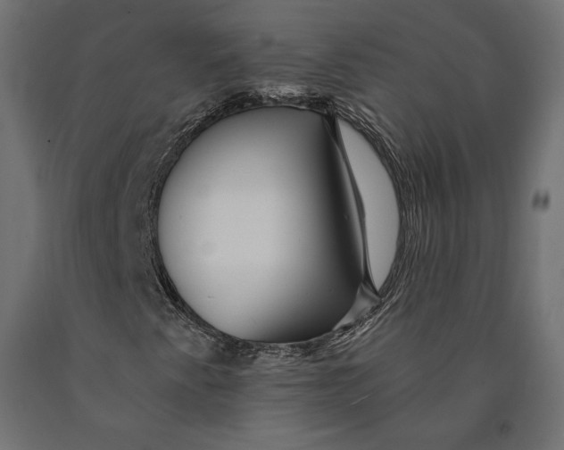 X0000090441345200708031144