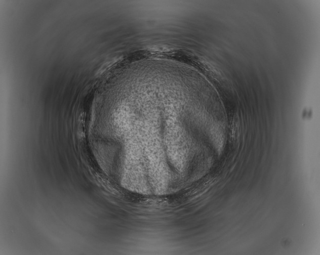 X0000090441346200708031144