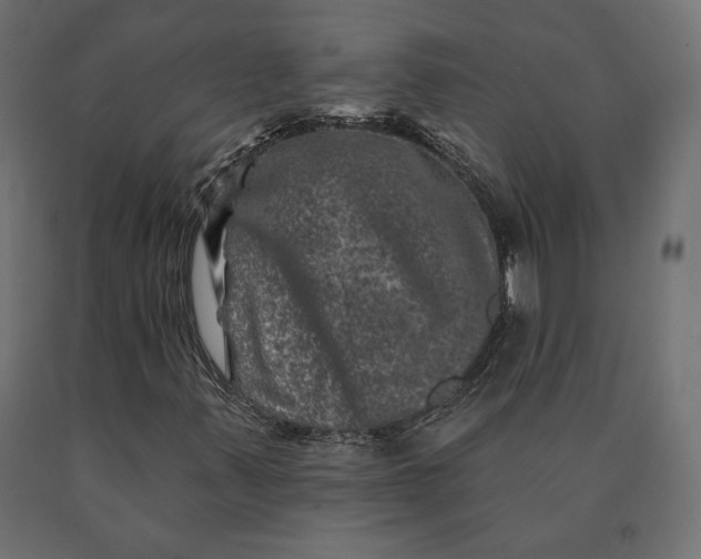 X0000090441347200708031144