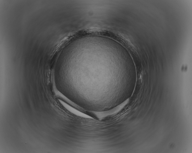 X0000090441348200708031144