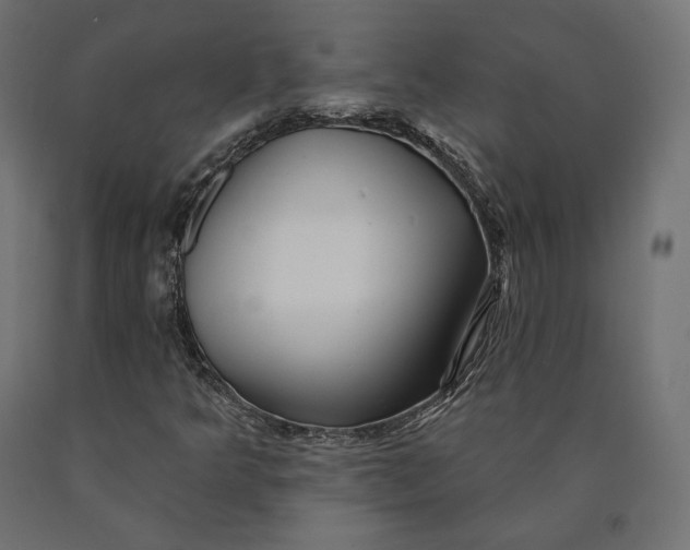 X0000090441349200708031144