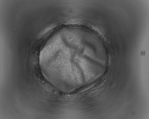 X0000090441350200708031144