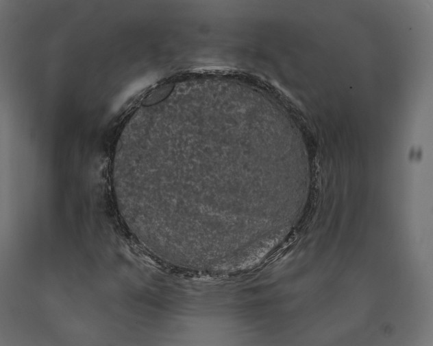 X0000090441351200708031144