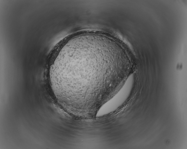 X0000090441352200708031144