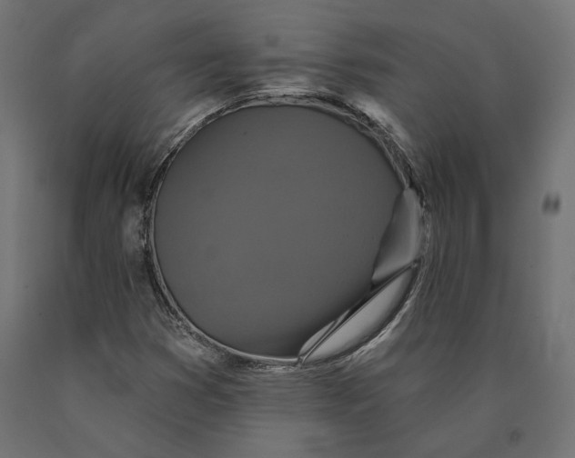 X0000090441353200708031144