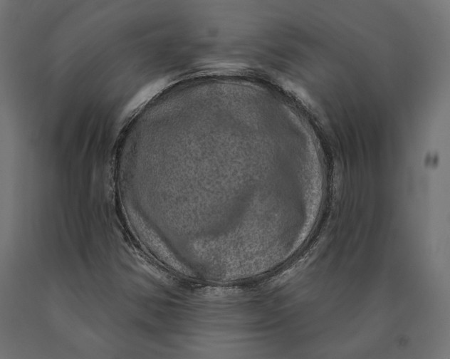 X0000090441354200708031144