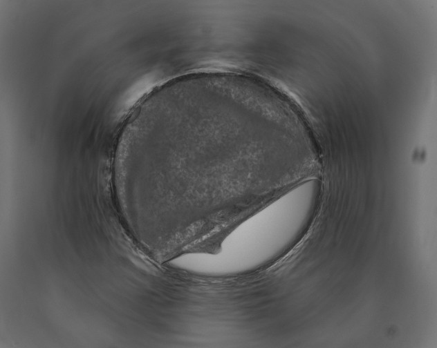 X0000090441355200708031144