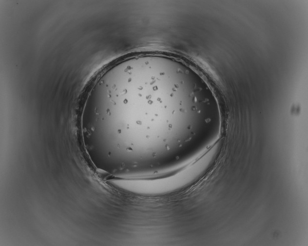 X0000090441356200708031144