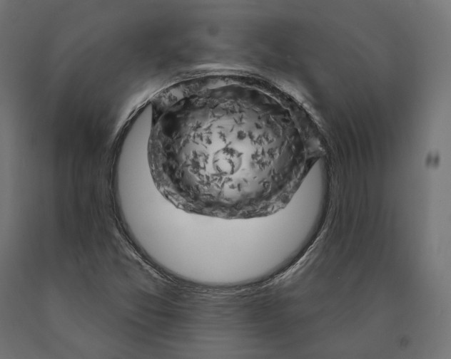 X0000090441357200708031144