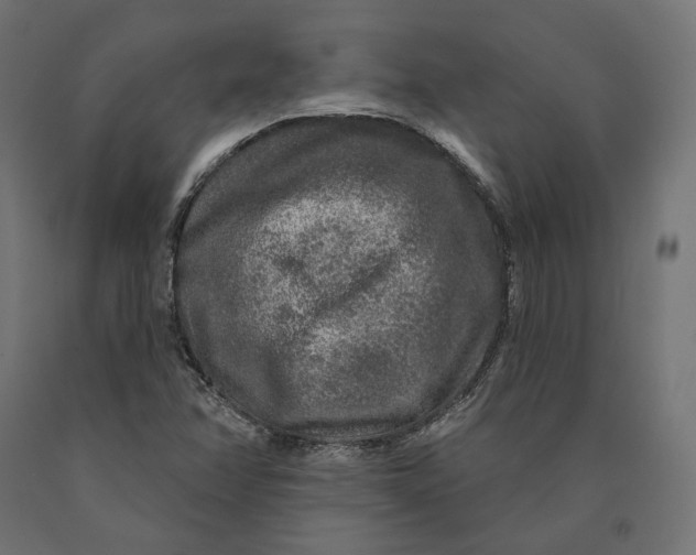 X0000090441358200708031144