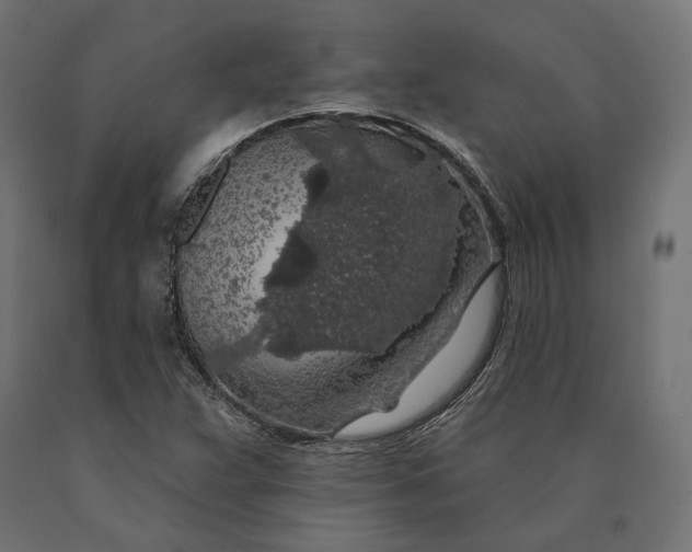 X0000090441359200708031144