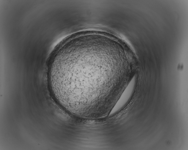 X0000090441360200708031144