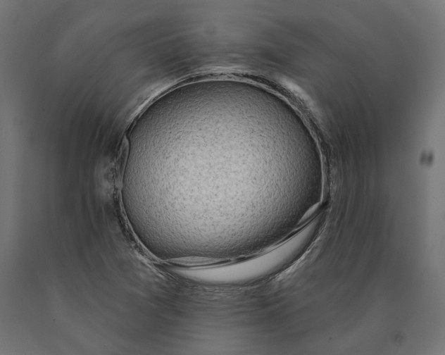 X0000090441361200708031144