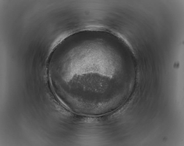 X0000090441362200708031144