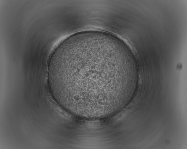 X0000090441363200708031144