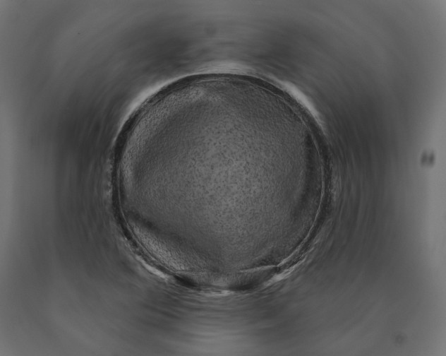 X0000090441364200708031144