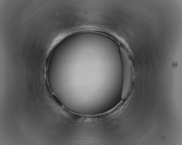 X0000090441365200708031144