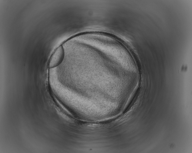 X0000090441366200708031143