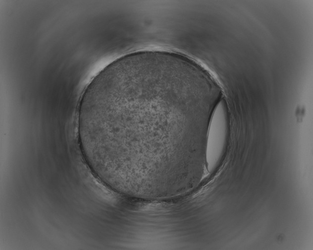 X0000090441367200708031143